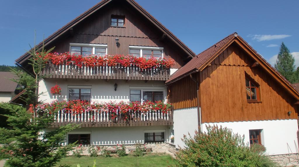 Apartmany Votockovi Rokytnice nad Jizerou Exterior photo